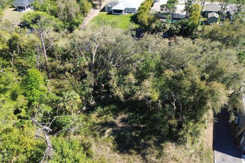 Land in North Port, Florida № 2161573 - photo 2