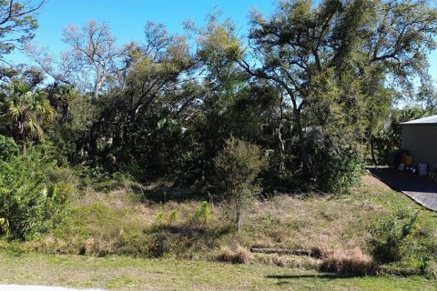 Land in North Port, Florida № 2161573 - photo 6