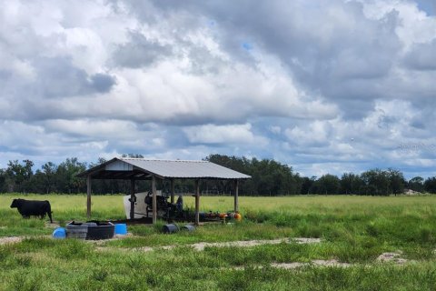 Land in Ona, Florida № 1879188 - photo 18