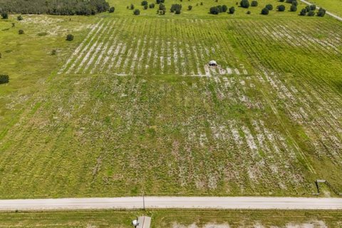 Land in Ona, Florida № 1879188 - photo 10