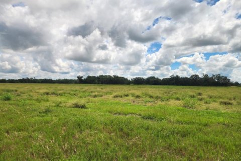 Land in Ona, Florida № 1879188 - photo 16