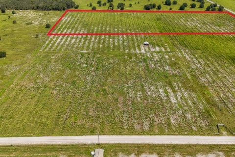 Land in Ona, Florida № 1879188 - photo 6