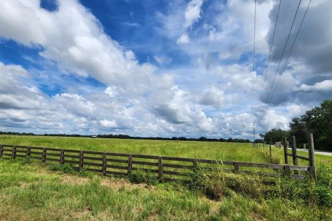 Land in Ona, Florida № 1879188 - photo 14