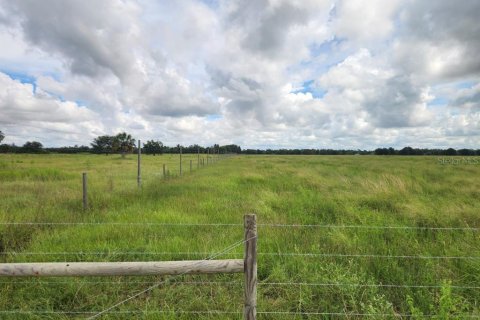 Land in Ona, Florida № 1879188 - photo 15