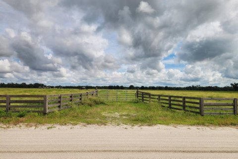 Land in Ona, Florida № 1879188 - photo 13