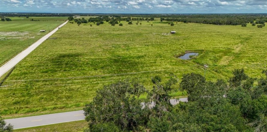 Land in Ona, Florida № 1879188