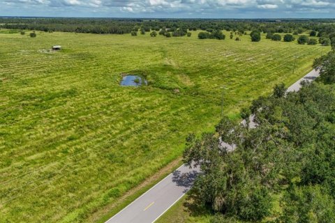 Land in Ona, Florida № 1879188 - photo 7