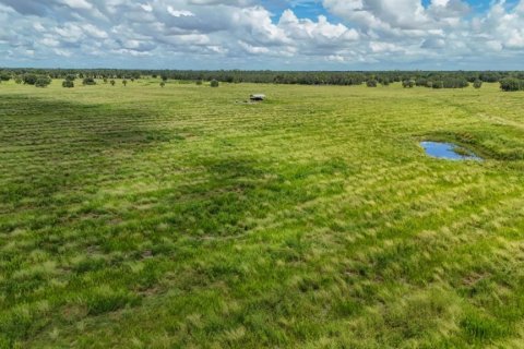 Land in Ona, Florida № 1879188 - photo 3