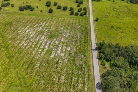 Land in Ona, Florida № 1879188 - photo 9