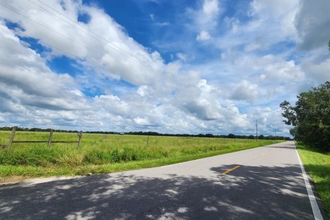 Land in Ona, Florida № 1879188 - photo 19