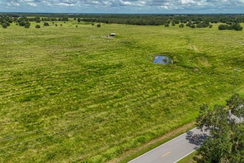 Land in Ona, Florida № 1879188 - photo 4