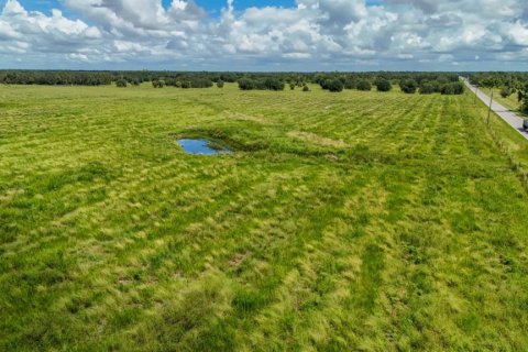 Land in Ona, Florida № 1879188 - photo 2