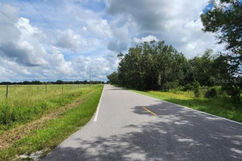 Land in Ona, Florida № 1879188 - photo 12