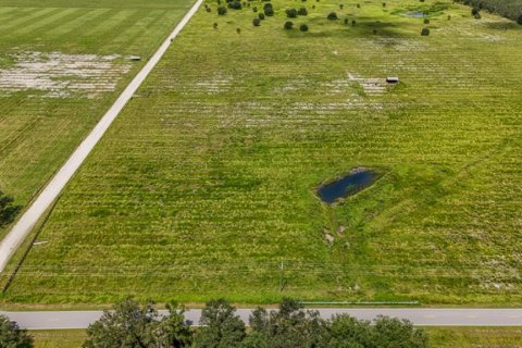 Land in Ona, Florida № 1879188 - photo 5