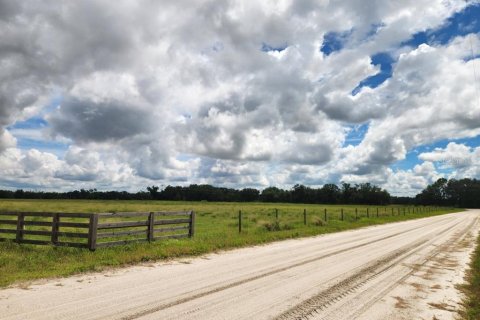 Land in Ona, Florida № 1879188 - photo 17
