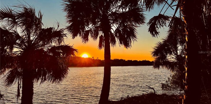 Terreno en Ormond Beach, Florida № 1587481
