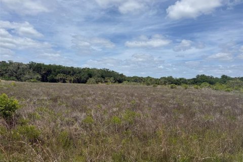 Land in Okeechobee, Florida № 2165123