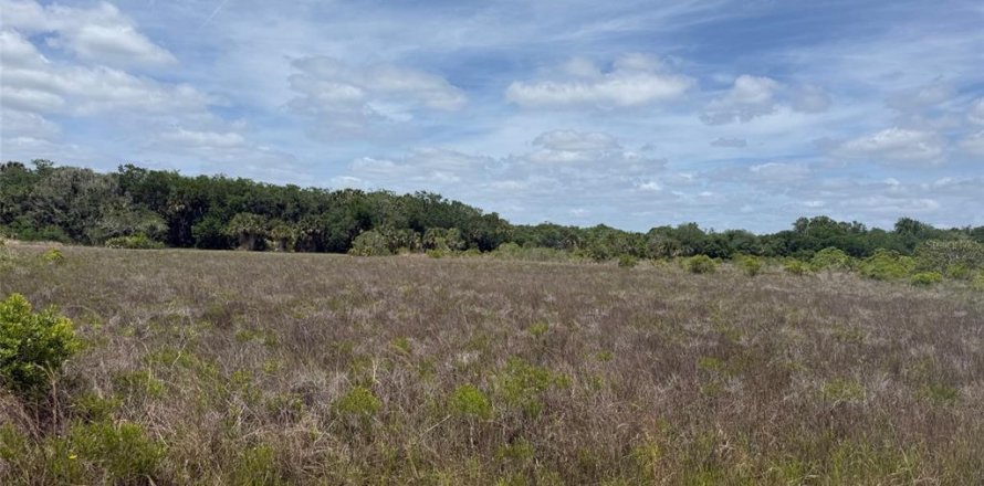 Land in Okeechobee, Florida № 2165123