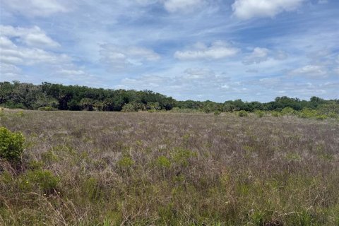 Land in Okeechobee, Florida № 2165123 - photo 2