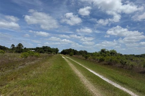 Land in Okeechobee, Florida № 2165123 - photo 3