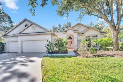 Casa en Tampa, Florida 4 dormitorios, 278.8 m2 № 2096779