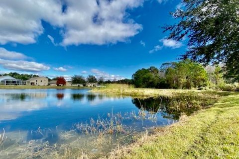 Touwnhouse à louer à Hudson, Floride: 3 chambres, 166.02 m2 № 2418735 - photo 21