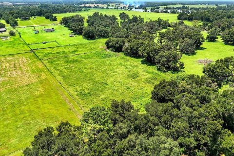Terreno en venta en Dade City, Florida № 1677400 - foto 25