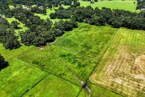 Terreno en venta en Dade City, Florida № 1677400 - foto 17