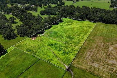 Terreno en venta en Dade City, Florida № 1677400 - foto 16