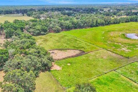Terreno en venta en Dade City, Florida № 1677400 - foto 6