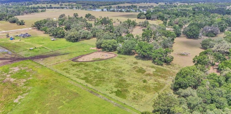 Terreno en Dade City, Florida № 1677400
