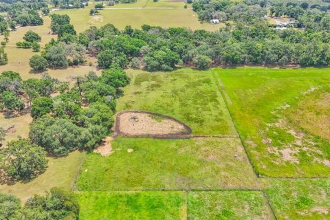Terreno en venta en Dade City, Florida № 1677400 - foto 4