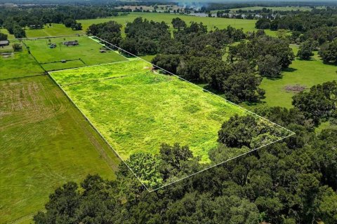 Terreno en venta en Dade City, Florida № 1677400 - foto 13