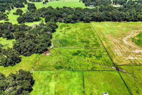 Terreno en venta en Dade City, Florida № 1677400 - foto 14