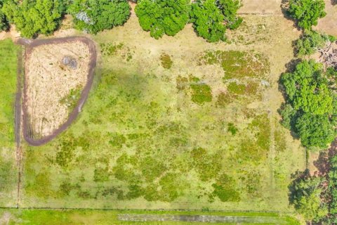 Terreno en venta en Dade City, Florida № 1677400 - foto 7