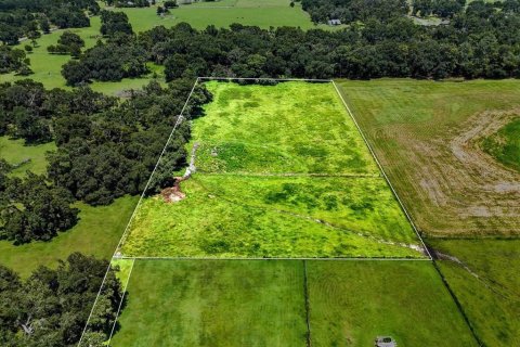 Terreno en venta en Dade City, Florida № 1677400 - foto 15