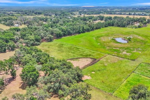 Terreno en venta en Dade City, Florida № 1677400 - foto 8