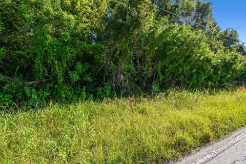 Land in Wimauma, Florida № 1552639 - photo 17