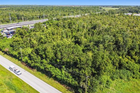 Land in Wimauma, Florida № 1552639 - photo 16