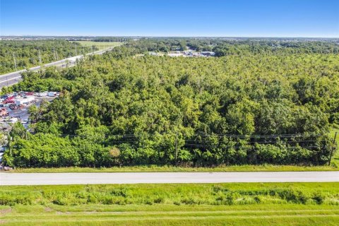 Land in Wimauma, Florida № 1552639 - photo 13