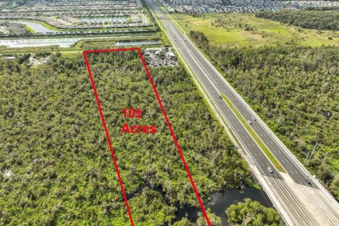Land in Wimauma, Florida № 1552639 - photo 2
