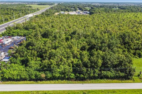 Land in Wimauma, Florida № 1552639 - photo 7