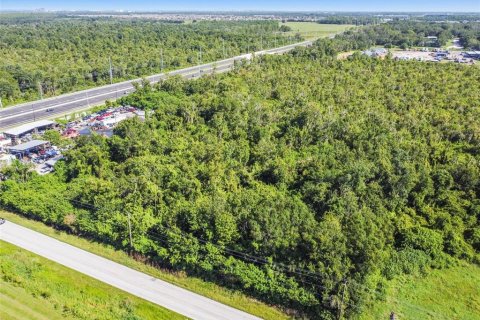 Land in Wimauma, Florida № 1552639 - photo 5