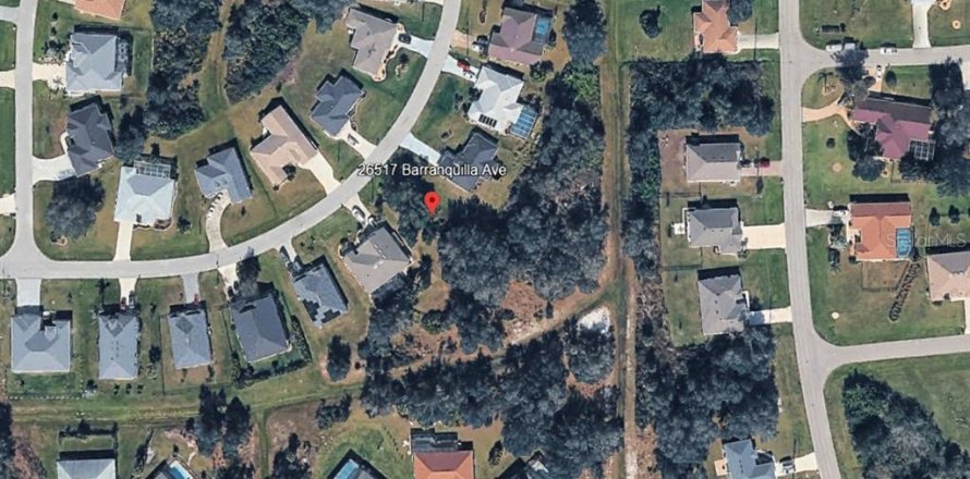 Terrain à Punta Gorda, Floride № 2195115