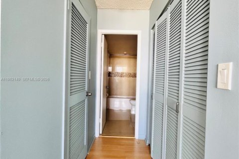 Studio in the Condo in Hallandale Beach, Florida  № 2043305 - photo 14