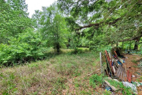 Land in Dade City, Florida № 1555335 - photo 20