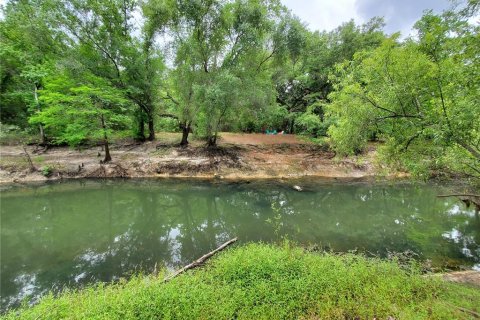 Land in Dade City, Florida № 1555335 - photo 3