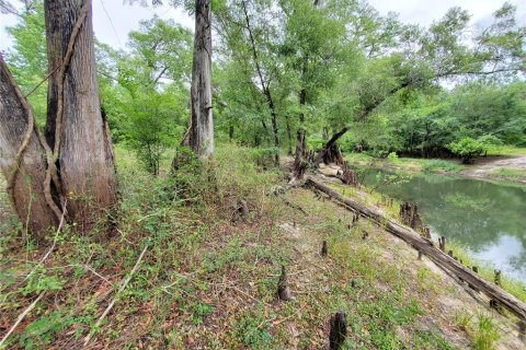 Land in Dade City, Florida № 1555335 - photo 11