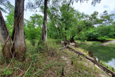 Land in Dade City, Florida № 1555335 - photo 9