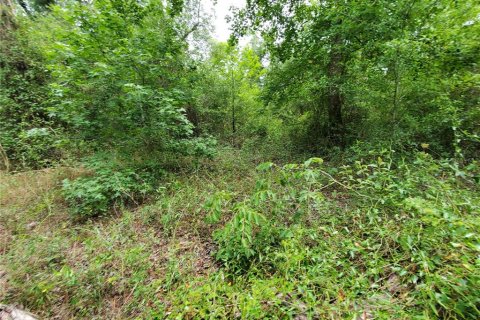 Land in Dade City, Florida № 1555335 - photo 13
